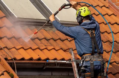 Démoussage et hydrofuge de toiture à Malissard